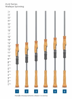 AVID SERIES WALLEYE SPINNING -St croix rods SCR HandleChart AvidSeriesWalleyeSpinning